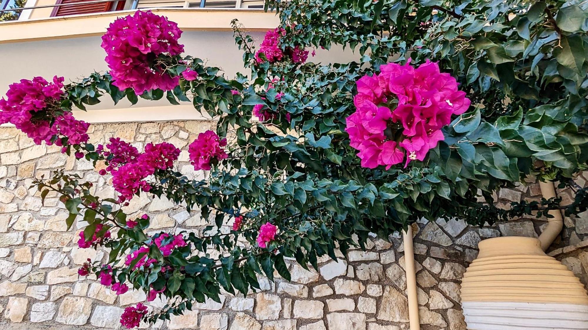Villa Avgerini Paxos جايوس المظهر الخارجي الصورة